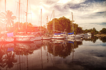 Miami city on sunset