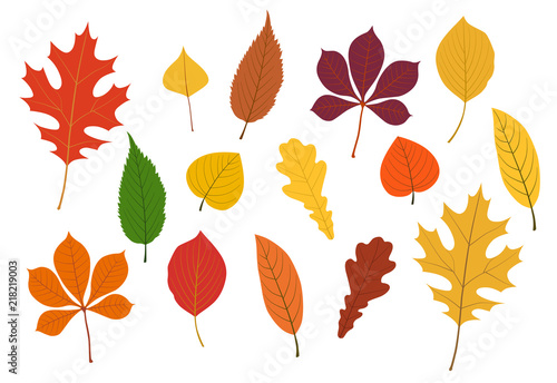 秋の紅葉イラストset Wall Mural Wallpaper Murals Dragontiger8 秋の紅葉イラストset Wall Mural Wallpaper Murals Dragontiger8