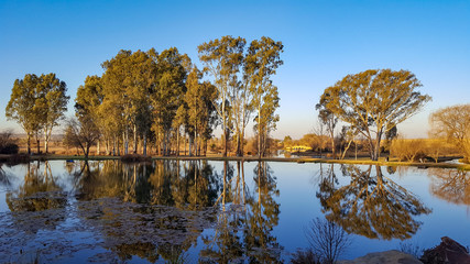 Obraz premium Pond Reflection