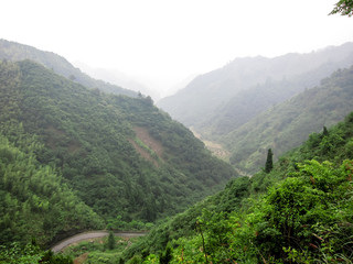 Beautiful and Green Landscape in Mountain Area