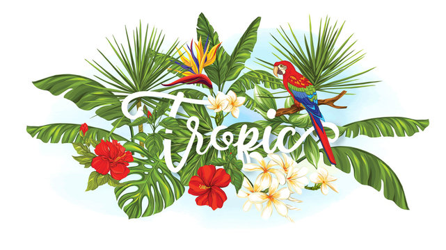 Template of poster, banner, postcard with tropical flowers and plants and bird on white background. Stock vector illustration