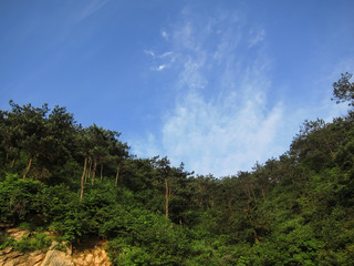 A gorgeous View of the Mountains