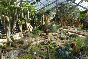 Bonn, Botanischer Garten