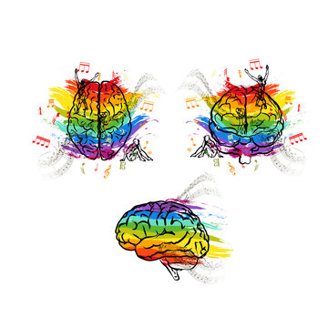 Set of creative human brains in different views, right hemisphere functions concepts isolated on white