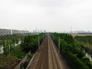 Obraz premium A Railway Line and Rows of Trees