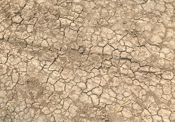 yellow crack dry dirt background texture and tire