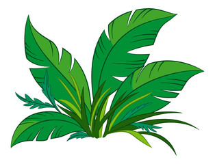 Nature Symbol, Cartoon Tropical Plant with Green Leaves, Isolated on White Background. Vector