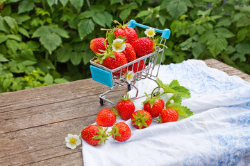 Fruity shopping cart full of strawberries cherries. Farmers harvest on greenery landscape background