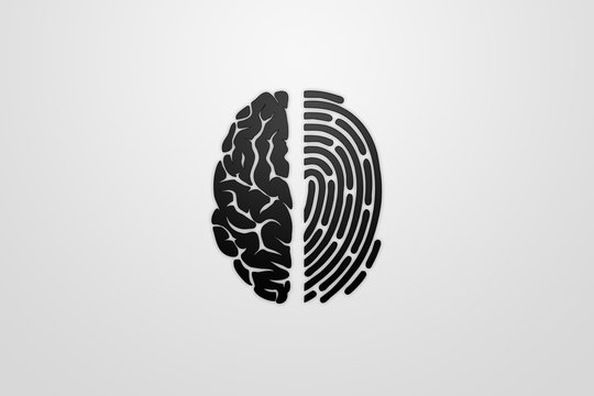 Half of the brain and fingerprint view from above. The concept of identity, unique data.
