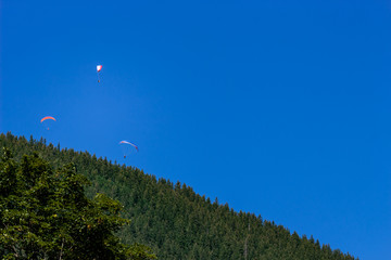 Fototapeta na wymiar Paragliders in the Bernese Alps