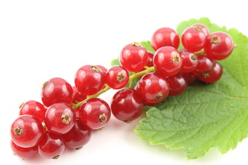 fresh red currant fruits isolated on a white background