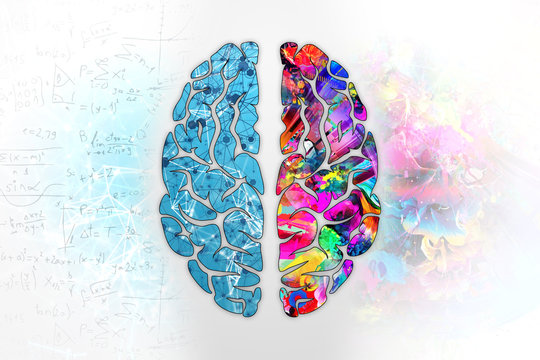 Illustration of a human brain, top view. Different halves of the human brain. The creative half and logical half of the human mind.