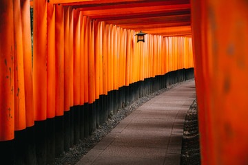 Fototapeta premium Pathway orii gates at Fushimi Inari Shrine at night and rain Kyoto, Japan.