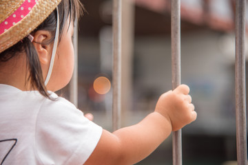 動物を見る子供