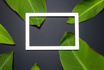 Tropical palm leaves and white frame for photo on black background top view with copy space. Minimal nature summer concept. Flat lay.