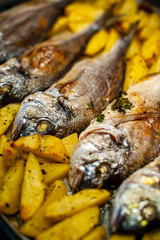 Fish Sparus aurata for baking with potatoes and greens