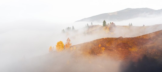 Erstaunliche Szene auf Herbstbergen. Gelbe und orange Bäume im fantastischen Morgensonnenlicht. Karpaten, Europa. Landschaftsfotografie