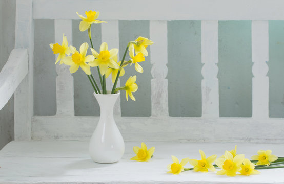 spring yellow flowers in white vase