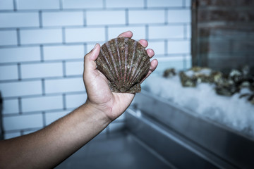 Seafood on ice base in restaurant.