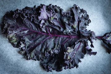 Blue cabbage