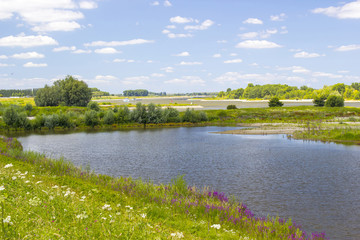 floodplains along the Rhine, Netherlands, Gelderland