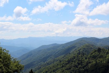 Naklejka premium The dense fog and the clouds in the mountains.