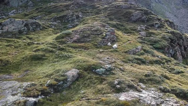 Rivers and lakes in the norwegian mountains