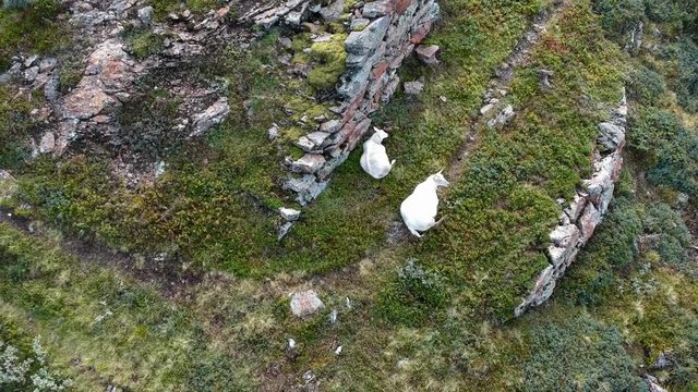 Rivers and lakes in the norwegian mountains