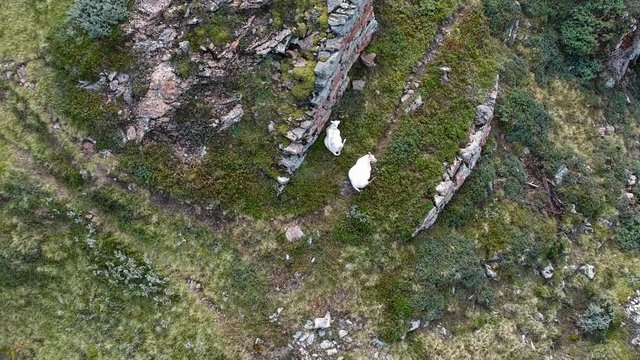 Rivers and lakes in the norwegian mountains