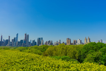 Obraz premium View of Midtown Manhattan from Central Park