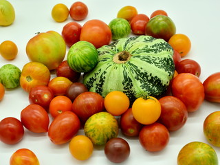 Various in color and variety of tomato and Pumpkin fruits on a white background.
