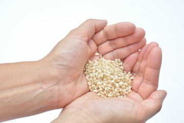 manos recogiendo semillas para preparar la cosecha en zonas de gran hambruna como pueden ser zonas...