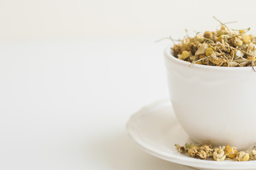 White background with dried chamomile tea. Camomile flowers in white cup on white table, copy space