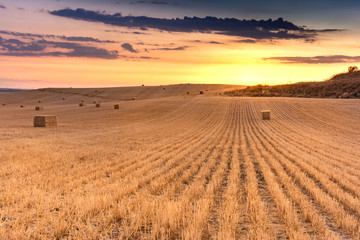 Fototapeta na wymiar Paquetes de paja en un campo seco durante el verano de Castilla en España