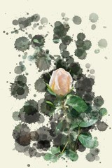 Beige opening rose bud - Blooming flowers in the garden, watercolor splashes and brush strokes design frame