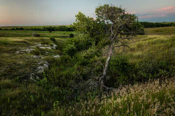 Rural American Evening
