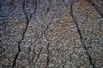 Badlands Desert Texture