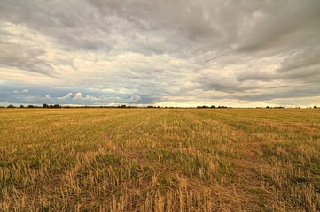 Obraz premium Clouds over the field.
