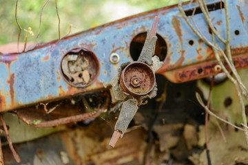 Rusty car wreck abandoned in a wood