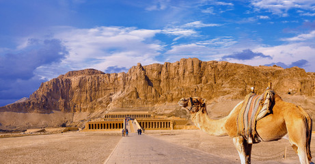 Temple of Queen Hatshepsut, View of the temple in the rock in Egypt - obrazy, fototapety, plakaty
