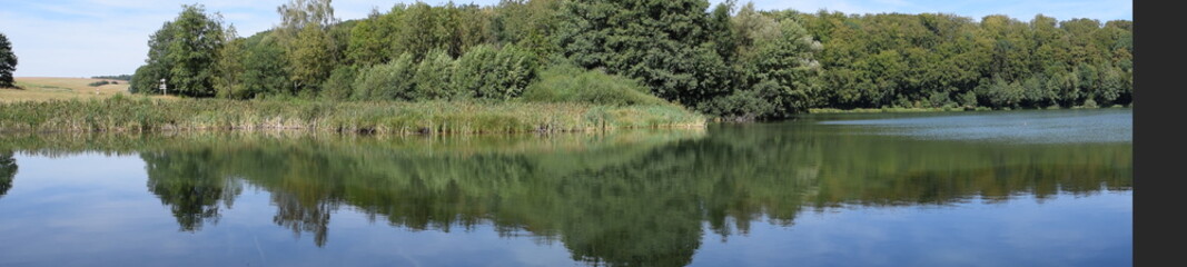 spiegelndes Holzmaar © Markus Volk