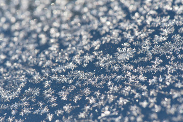 frost crystals