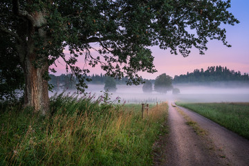 Obrazy na Szkle  Letnia noc z mgłą i prostą drogą na wsi, Finlandia