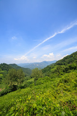 a rural summer of Junggok-ri