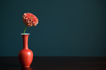 flower in vase © Alise