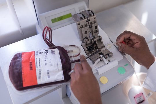 Laboratory technician analyzing blood bags