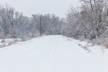 Fototapeta na wymiar Snowy road during snowfall. Winter rural landscape