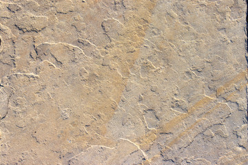 Stone background texture background natural stone close-up