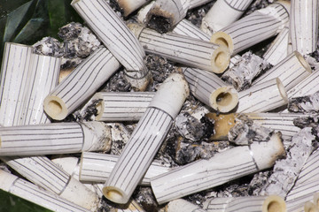 a lot of cigarette butts