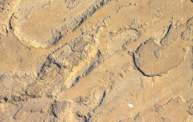 Stone background texture background natural stone close-up